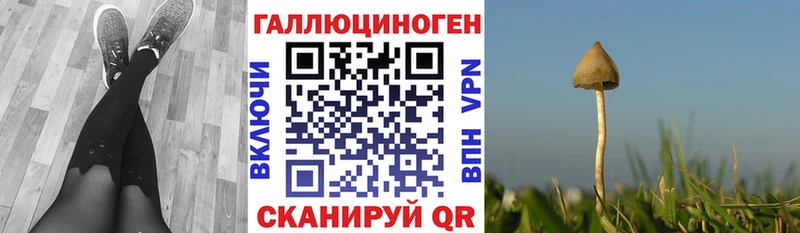 Галлюциногенные грибы мухоморы Купить где Кыштым